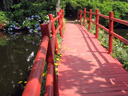 Magnolia Plantation Bridge