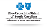 blue cross blue shield work from home sc