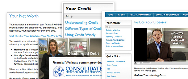 Financial Wellness App
